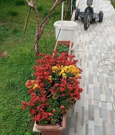 Antalya Ful Donanimli Villa Serik